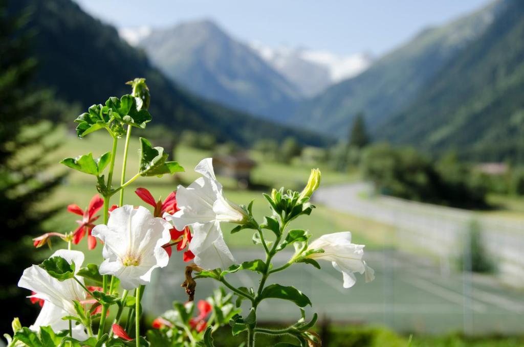 Apart-Pension Wasserfall Neustift im Stubaital Exterior photo