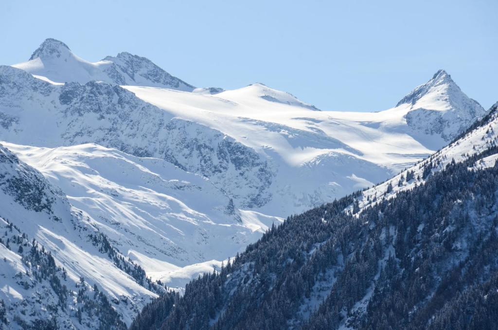 Apart-Pension Wasserfall Neustift im Stubaital Exterior photo